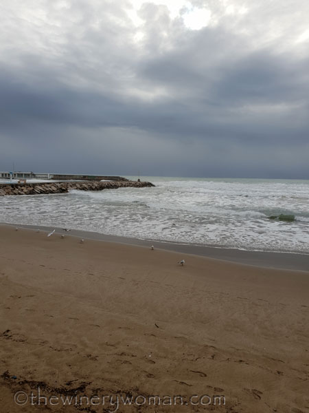 Beach_Sitges3_2.1.19_TWW