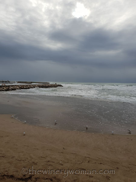 Beach_Sitges5_2.1.19_TWW