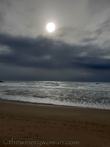 Beach_Sitges8_2.1.19_TWW