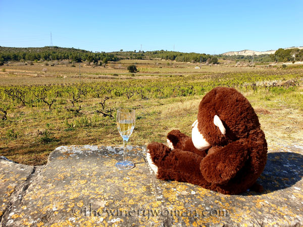 Grape_Ape_enjoying_Sunday11_2.24.19_TWW