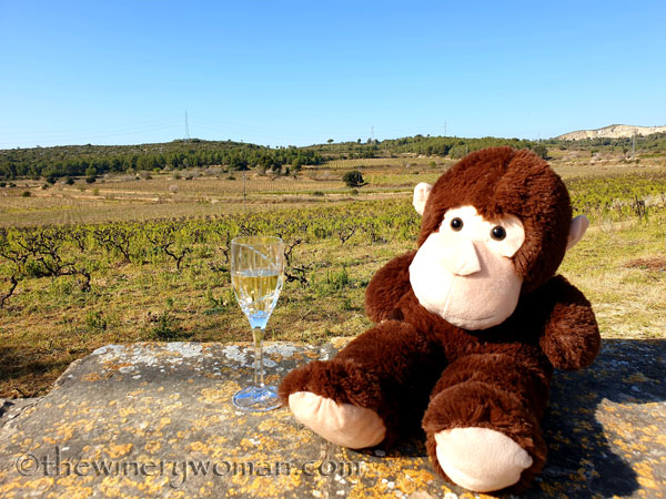 Grape_Ape_enjoying_Sunday12_2.24.19_TWW