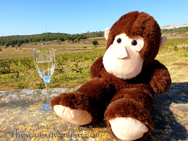 Grape_Ape_enjoying_Sunday13_2.24.19_TWW