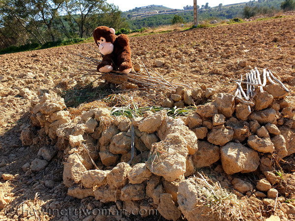 Grape_Ape_enjoying_Sunday16_2.24.19_TWW