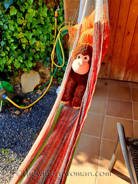 Grape_Ape_enjoying_Sunday17_2.24.19_TWW