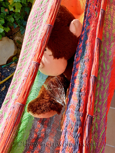 Grape_Ape_enjoying_Sunday18_2.24.19_TWW