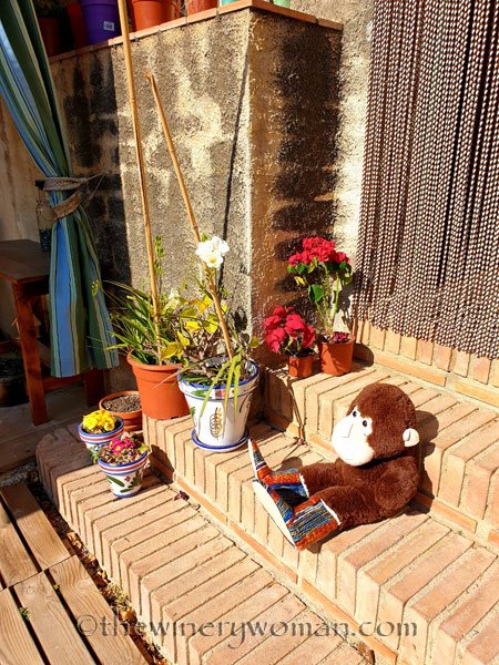 Grape_Ape_enjoying_Sunday2_2.24.19_TWW