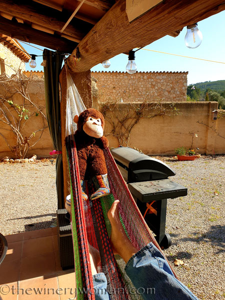 Grape_Ape_enjoying_Sunday4_2.24.19_TWW