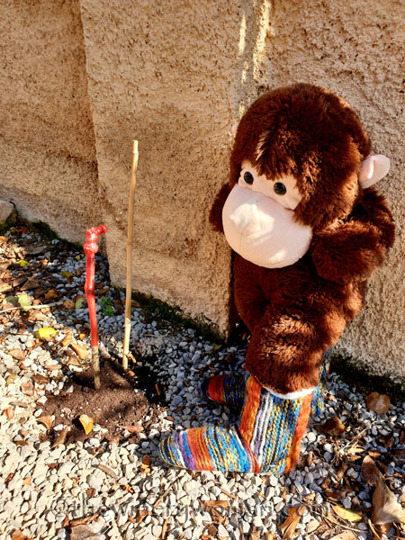 Grape_Ape_enjoying_Sunday5_2.24.19_TWW