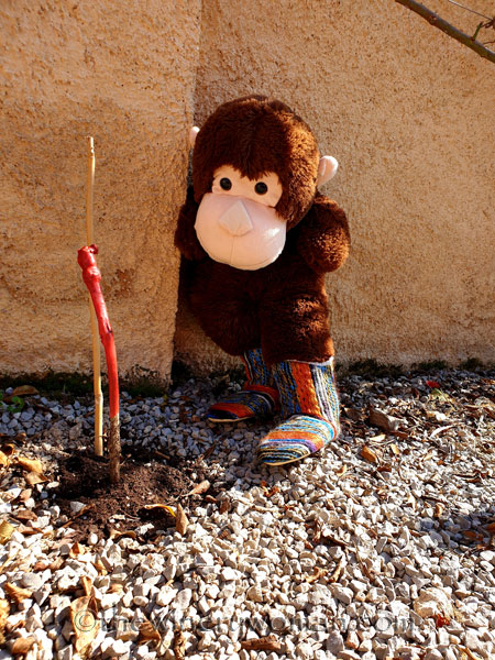 Grape_Ape_enjoying_Sunday6_2.24.19_TWW