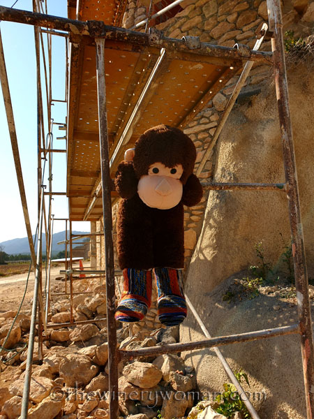 Grape_Ape_enjoying_Sunday7_2.24.19_TWW