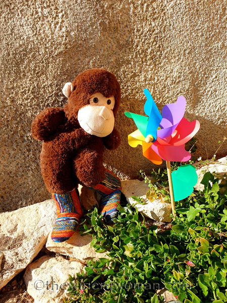 Grape_Ape_enjoying_Sunday8_2.24.19_TWW