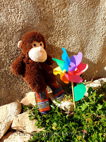 Grape_Ape_enjoying_Sunday9_2.24.19_TWW