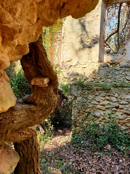 Spring_House10_2.24.19.TWW