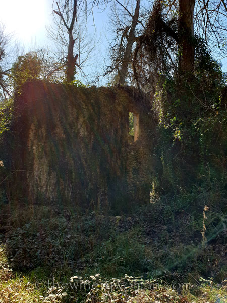 Spring_House2_2.24.19.TWW