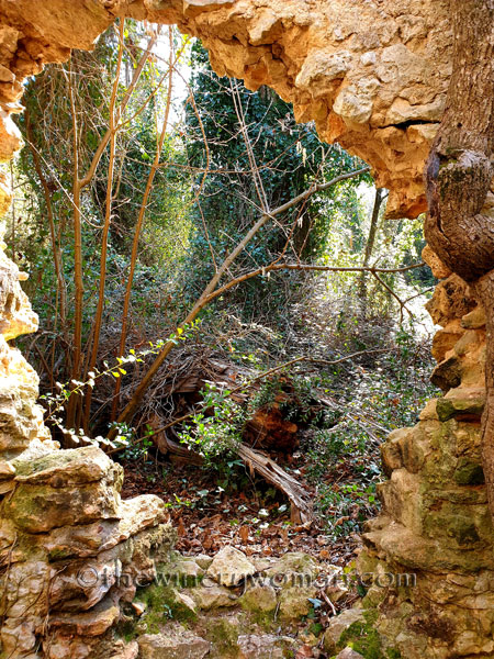 Spring_House6_2.24.19.TWW