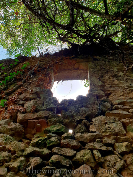 Spring_in_the_woods12_9.8.18_TWW