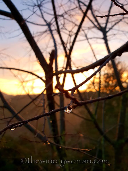 Sunrise_Viladellops14_2.7.19_TWW