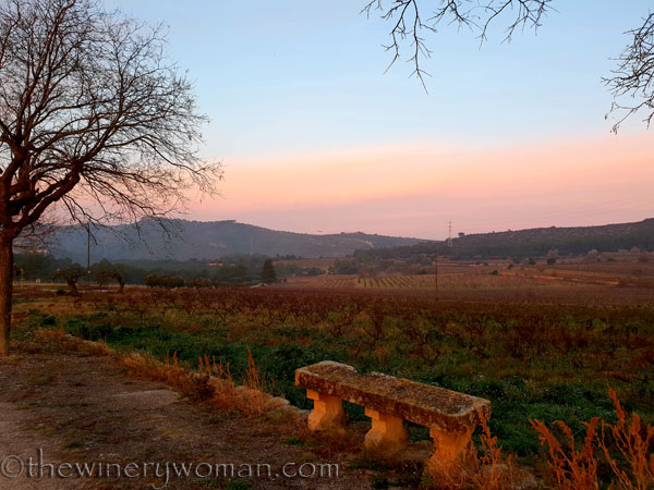 Sunrise_Viladellops16_2.7.19_TWW