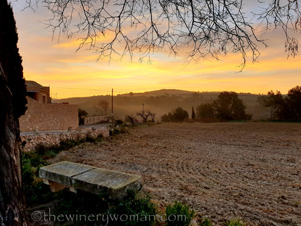 Sunrise_Viladellops18_2.7.19_TWW