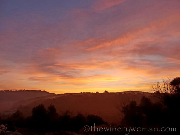 Sunrise_Viladellops2_2.7.19_TWW