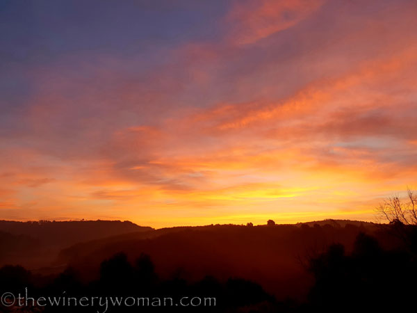 Sunrise_Viladellops4_2.7.19_TWW