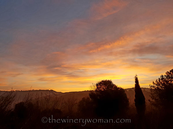 Sunrise_Viladellops5_2.7.19_TWW