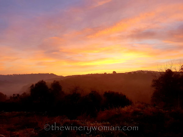 Sunrise_Viladellops6_2.7.19_TWW