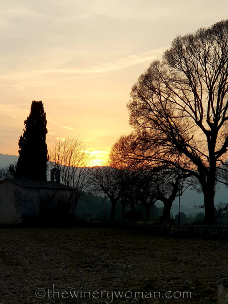 Sunset_Vineyard3_2.9.19_TWW