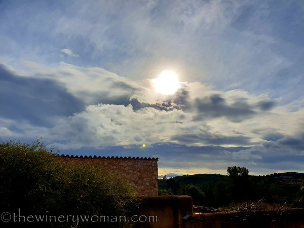 Vineyard_sky2_2.2.19.TWW
