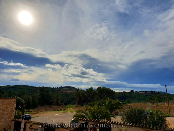 Vineyard_sky3_2.2.19.TWW