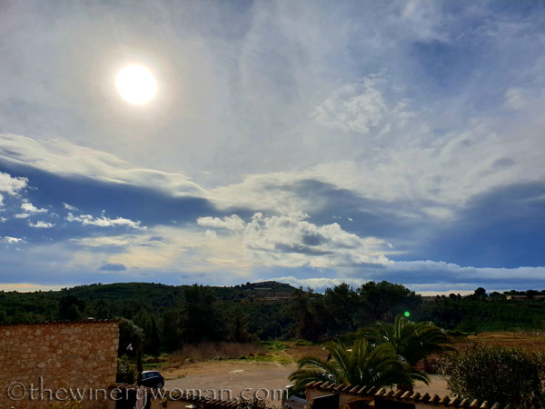 Vineyard_sky4_2.2.19.TWW