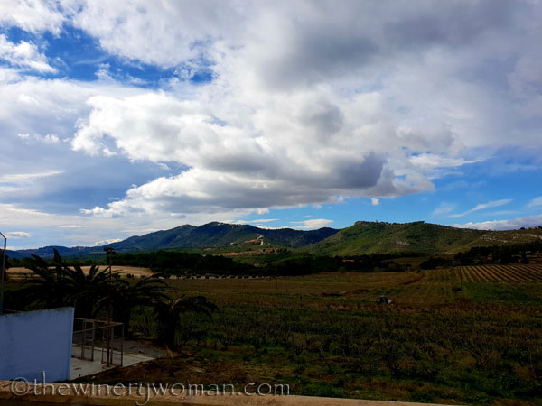 Vineyard_sky5_2.2.19.TWW
