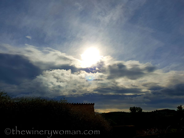 Vineyard_sky_2.2.19.TWW