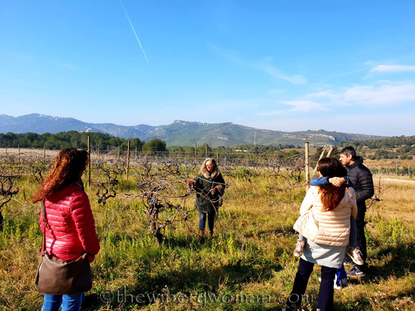 Winery_Tour_Viladellops5_2.9.19_TWW