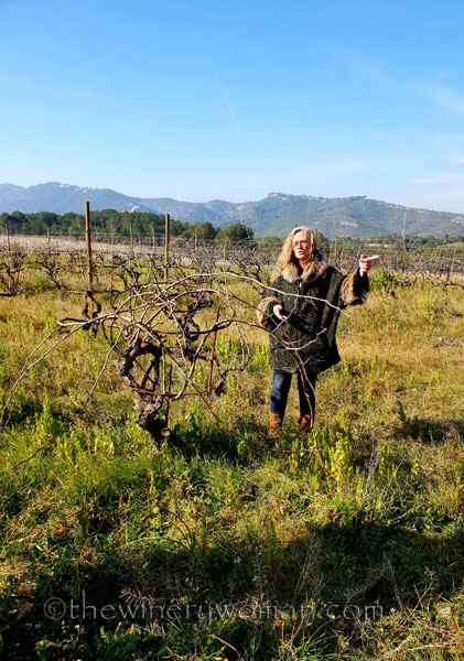 Winery_Tour_Viladellops6_2.9.19_TWW