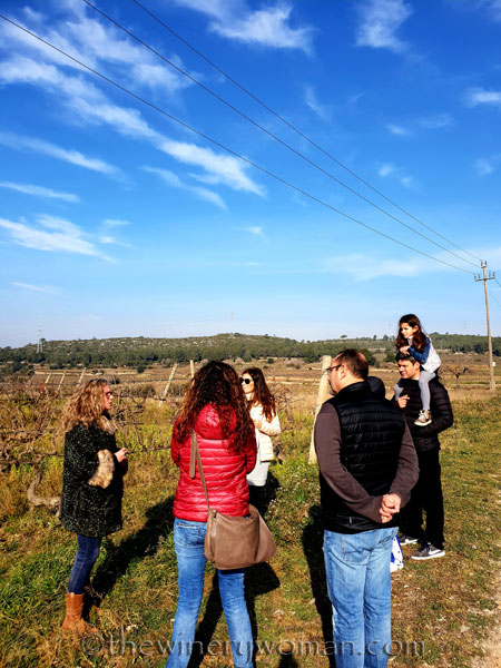 Winery_Tour_Viladellops_2.9.19_TWW