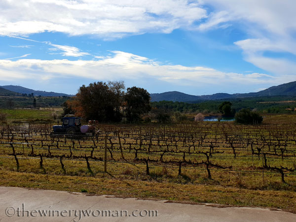 Winter_pruning10_1.31.19_TWW