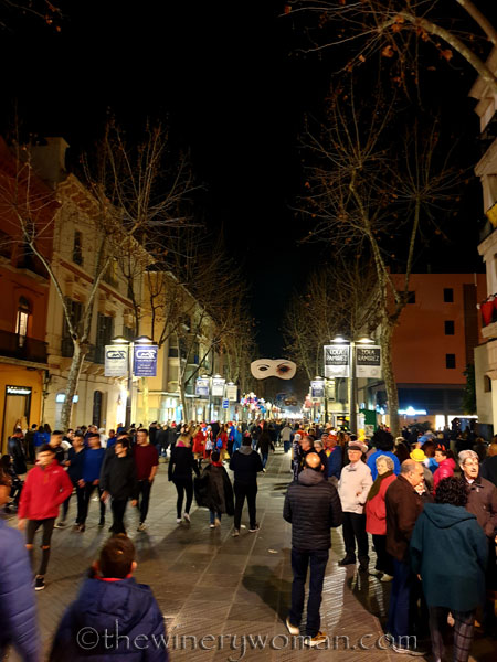 Carnaval_Parade10_3.1.19_TWW