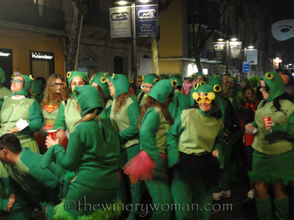 Carnaval_Parade41_3.1.19_TWW