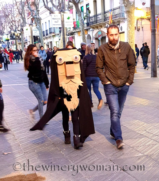 Carnaval_Parade4_3.1.19_TWW