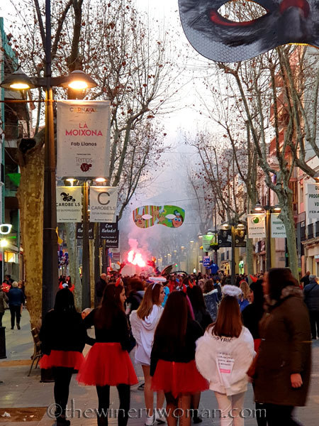 Carnaval_Parade_3.1.19_TWW