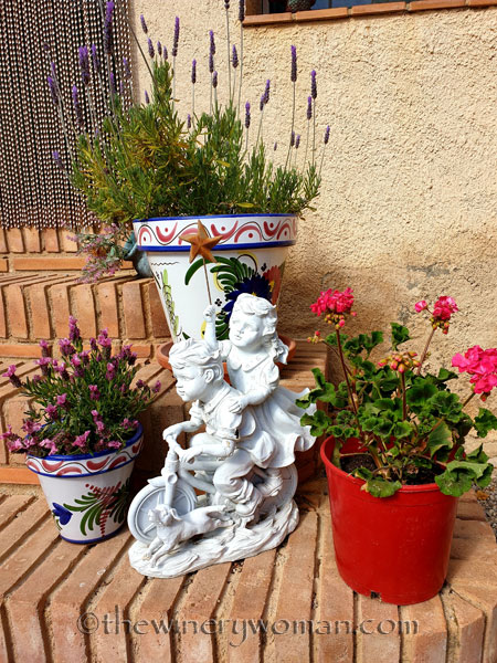 Follow_Your_Dreams_3.30.19_TWW