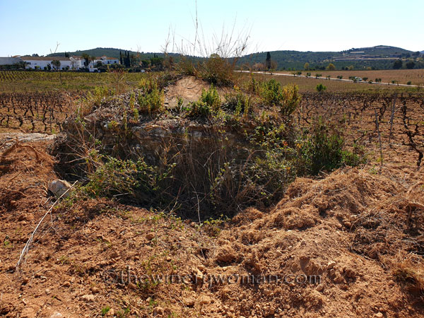 Stone_Hut12_3.24.19_TWW