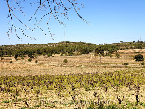 Stone_Hut17_3.24.19_TWW