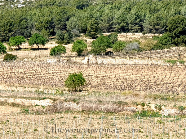 Stone_Hut18_3.24.19_TWW