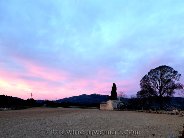 Sunrise_Vineyard2_3.4.19_TWW