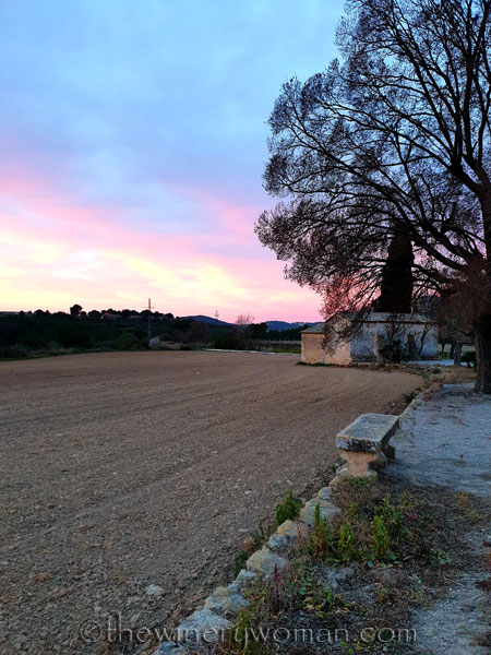 Sunrise_Vineyard5_3.4.19_TWW