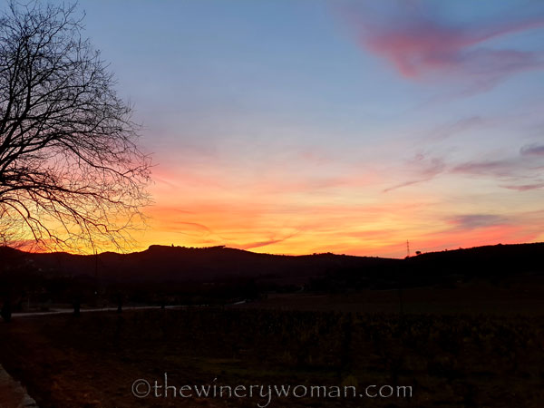 Sunset_Vineyard2_3.9.19_TWW