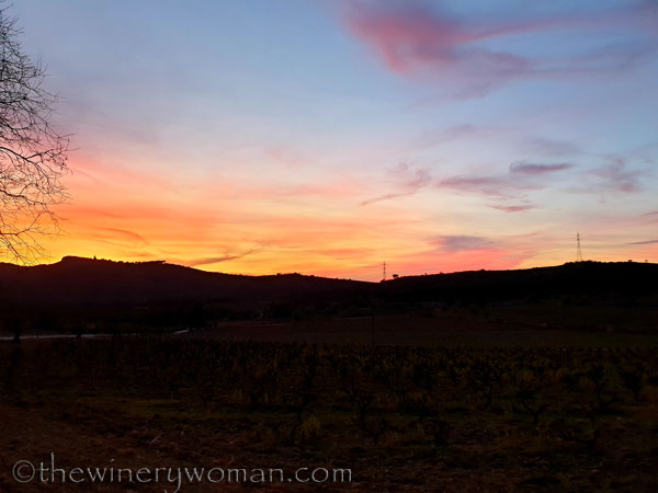Sunset_Vineyard3_3.9.19_TWW