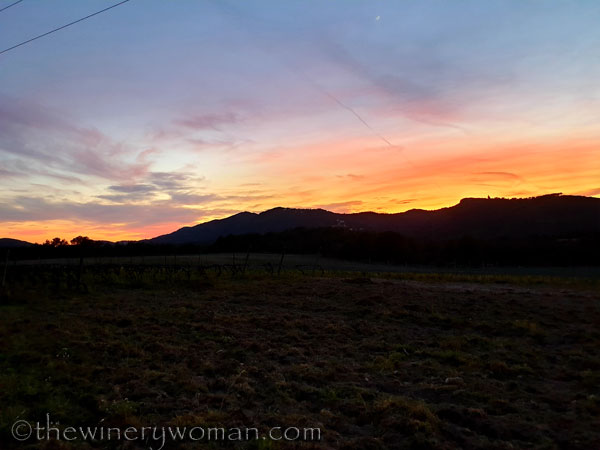 Sunset_Vineyard5_3.9.19_TWW
